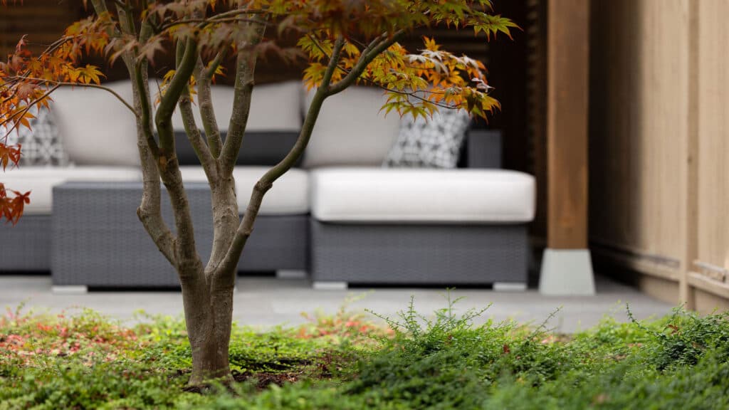 161 Studio | Landscape Consultants, photograph 3 of Point Grey