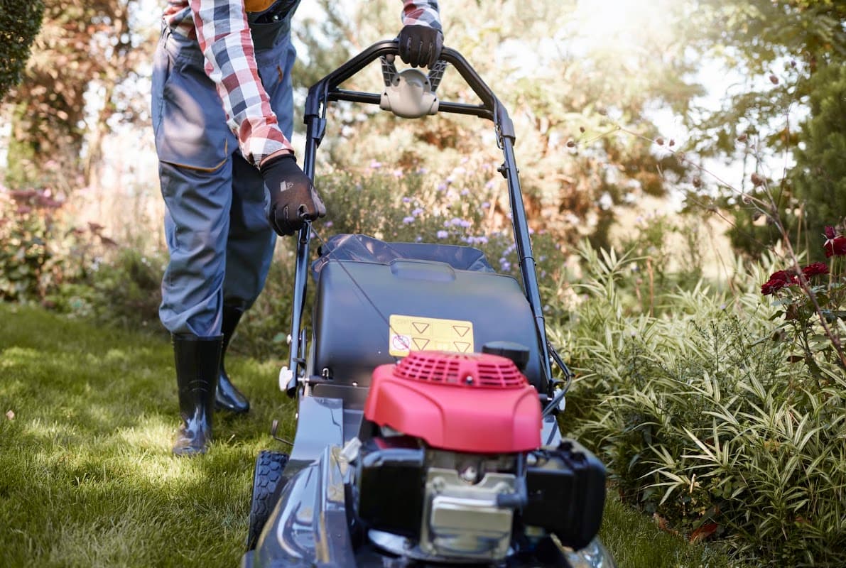 2020 Lawn Care & Gardening, photograph 4 of Surrey