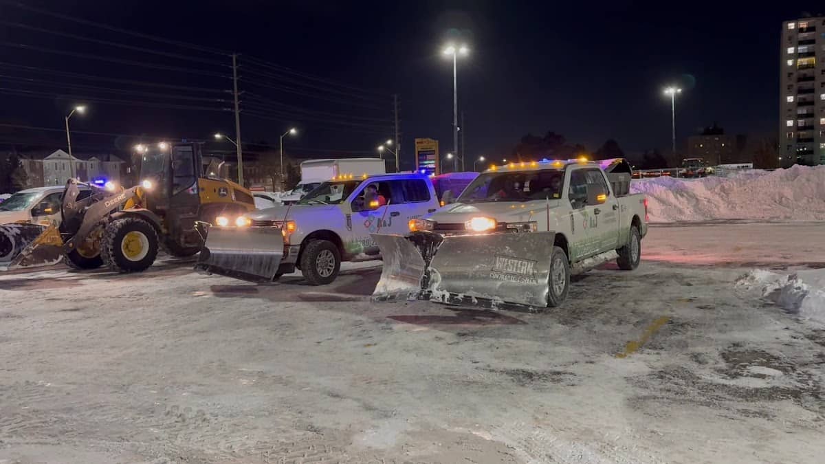 A and J landscaping and snow removal, photograph 3 of Mississauga