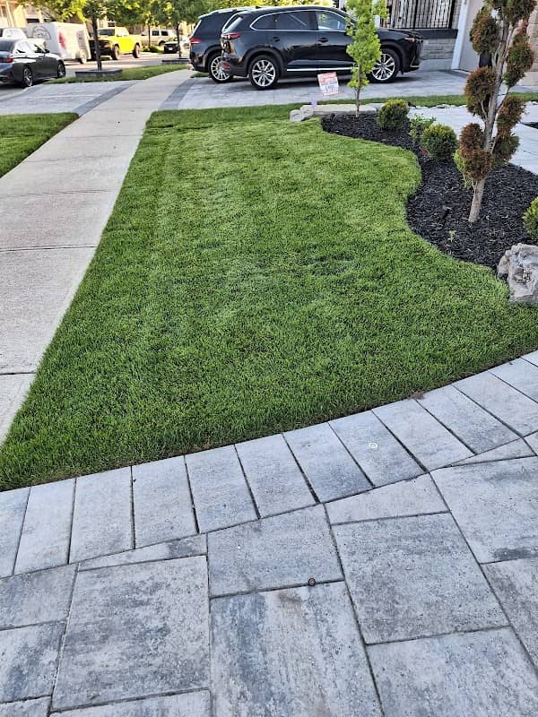 lawn care by A&S LAWNCARE AND SNOW REMOVAL INC. in Islington-City Centre West
