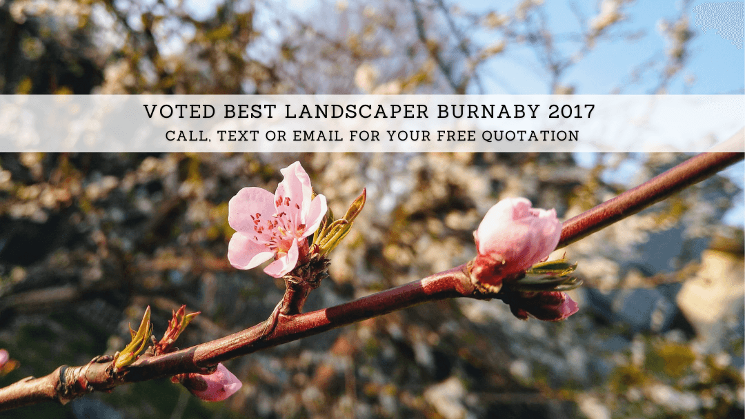 landscaping by A-BBY Landscape in Kensington-Cedar Cottage