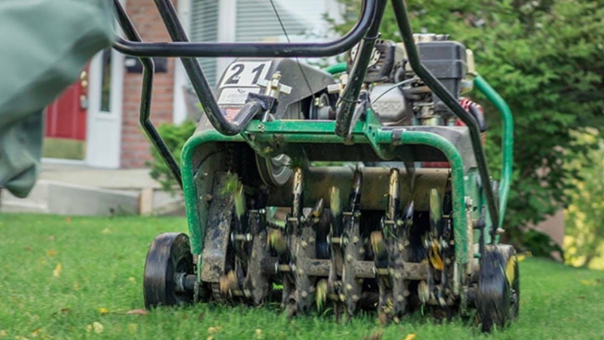 lawn care by AA Lawn Care in Pickering