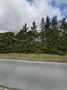 AAA Lawn & Garden, photograph 5 of South Surrey