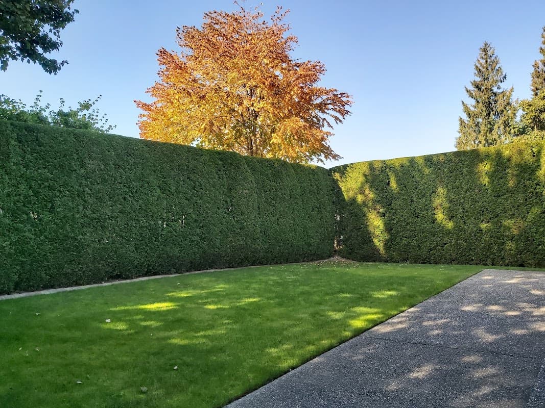 landscaping by AB+C Landscape Maintenance Inc in Abbotsford