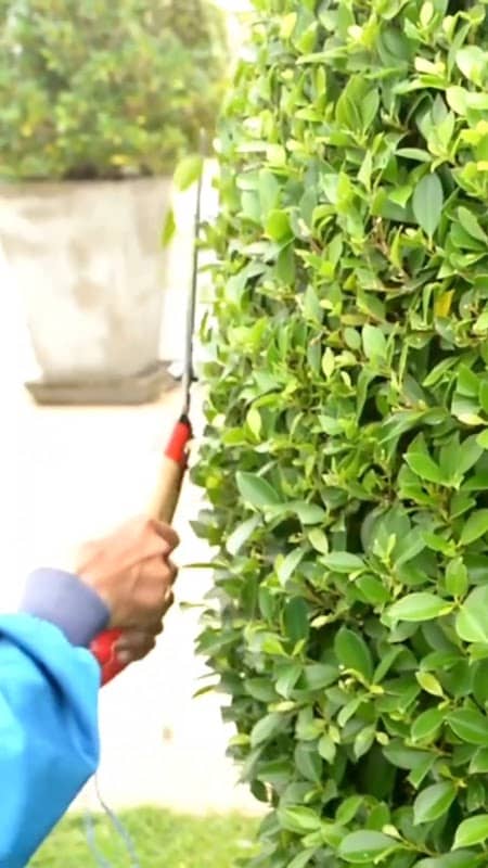 landscaping by AB Landscaping Group Inc. in Willowdale