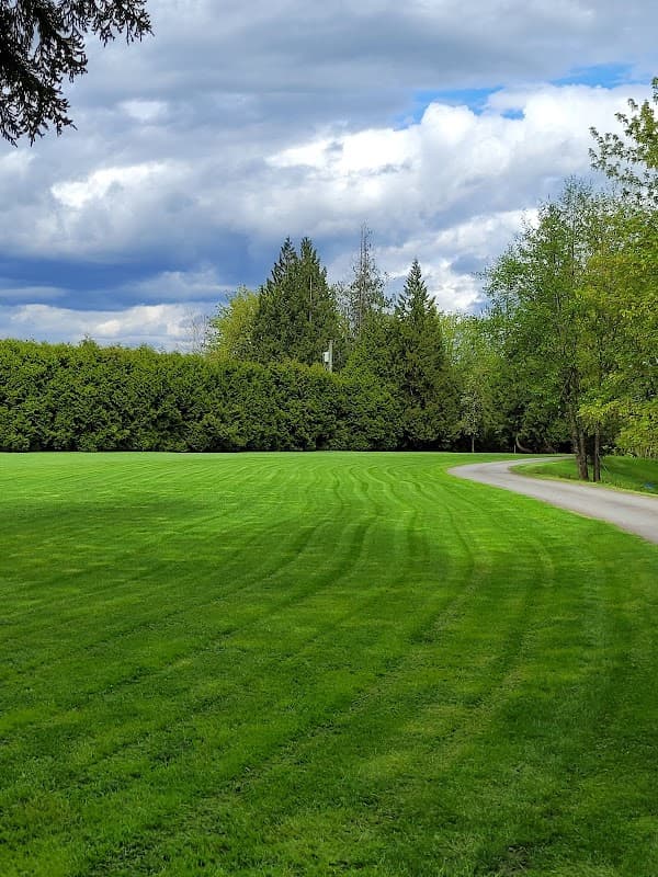 lawn care by ACUTUS LANDSCAPING in Cloverdale