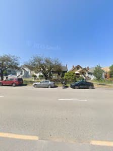 Aesthetic Tree & Hedge Services Vancouver, photograph 4 of Hastings-Sunrise