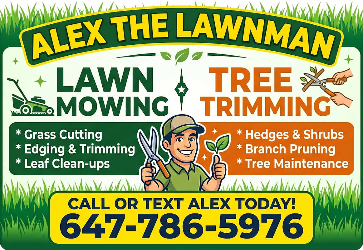 landscaping by Alex the Handyman (Team) in Scarborough Town Centre