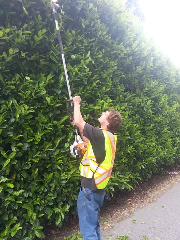 lawn care by All-You-Need Lawn & Garden Care - Vancouver Lawn and Garden Care Services in Grandview-Woodland