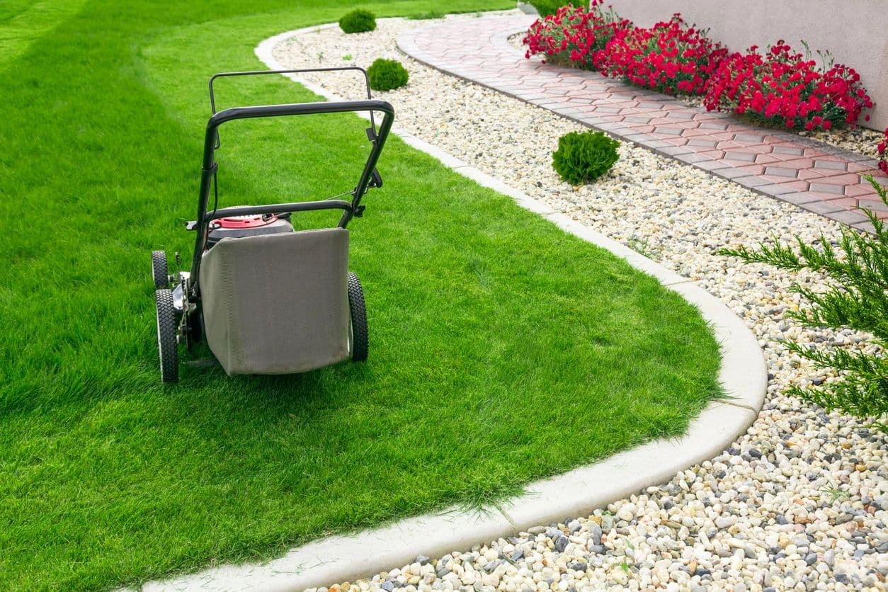 All-You-Need Lawn & Garden Care - Vancouver Lawn and Garden Care Services, photograph 3 of Grandview-Woodland