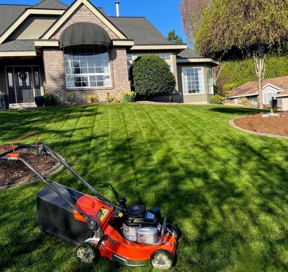 Allen Cut and Care Landscaping, photograph 3 of Abbotsford