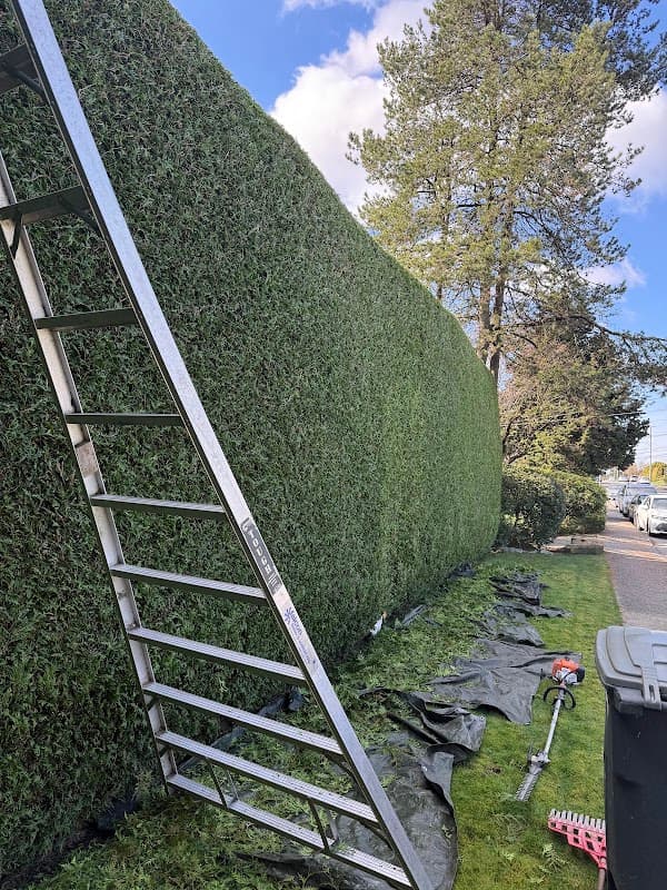 landscaping by Alp Landscaping Services in Coquitlam