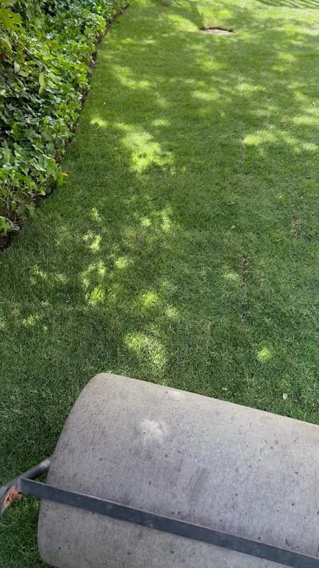 Alp Landscaping Services, photograph 3 of Coquitlam