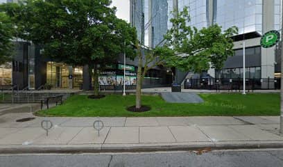 interlocking by Alpine Paving Inc. in Islington-City Centre West