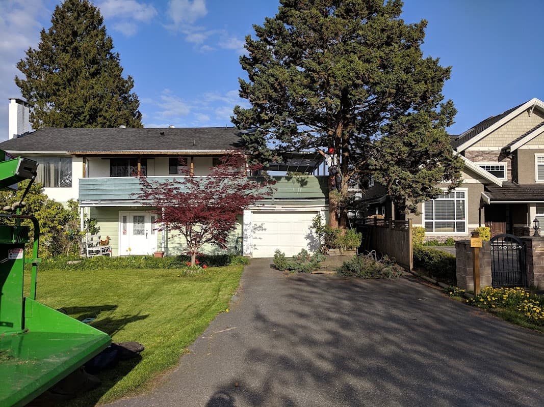 Alpine Tree Care, photograph 2 of Steveston