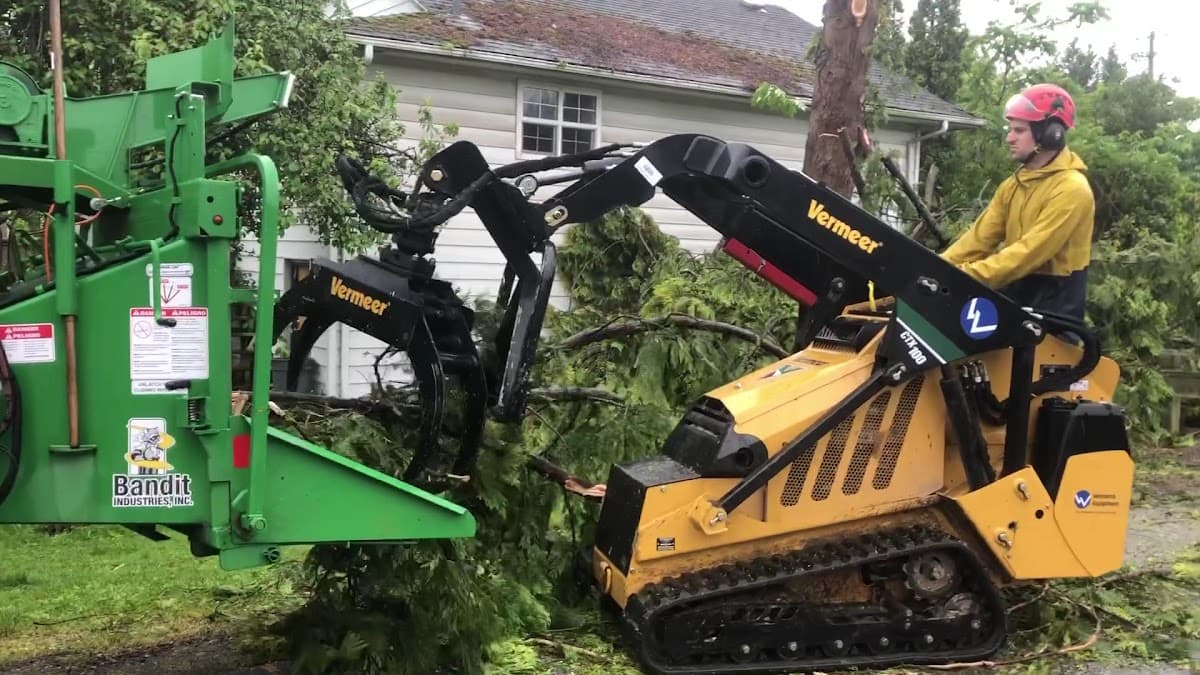 Alpine Tree Care, photograph 4 of Steveston
