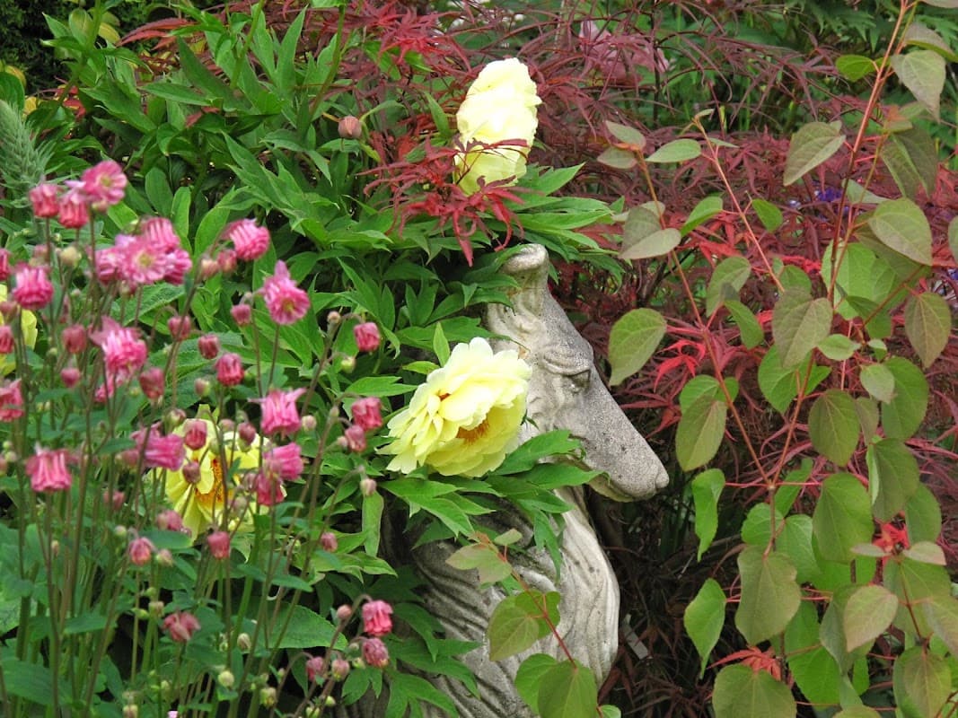 landscaping by Amanda's Garden Consulting in Metrotown
