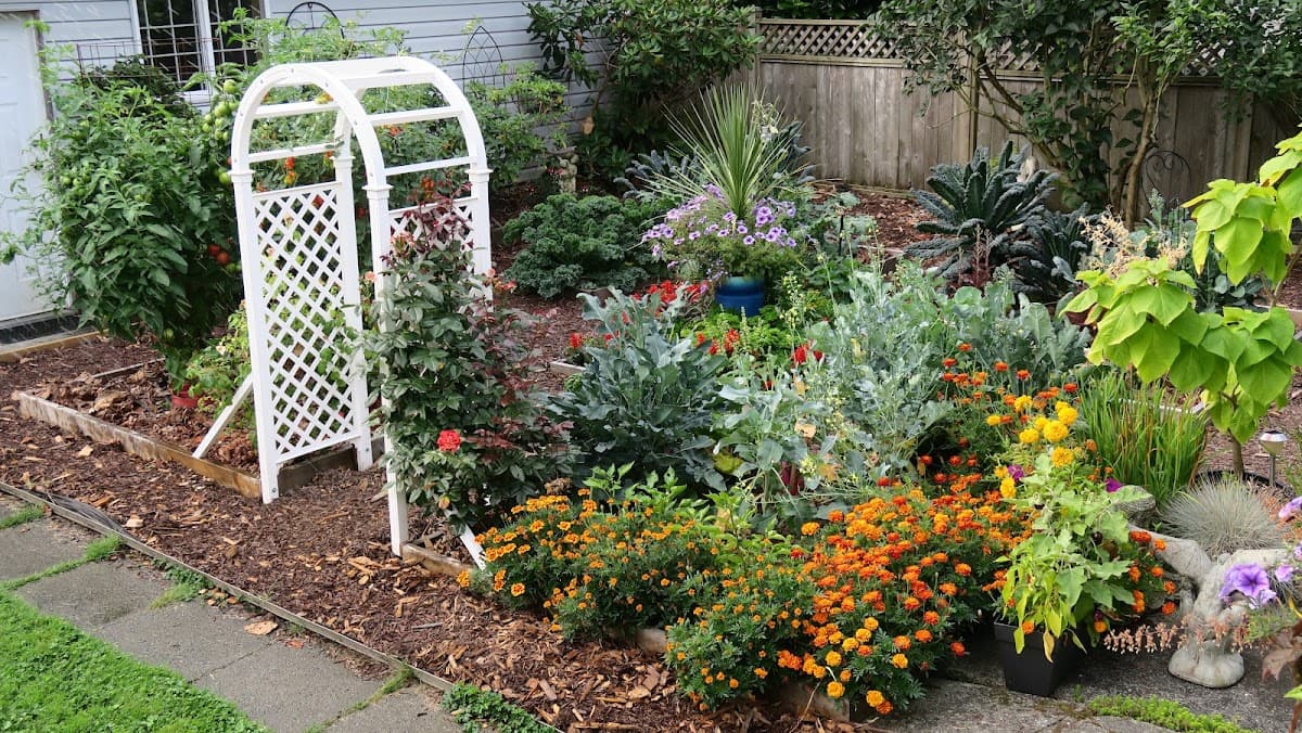 Amanda's Garden Consulting, photograph 2 of Metrotown
