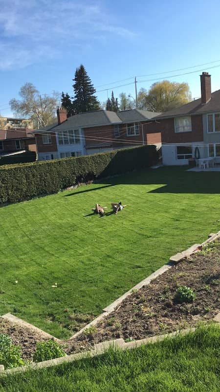 Andress Lawn Services, photograph 2 of East York