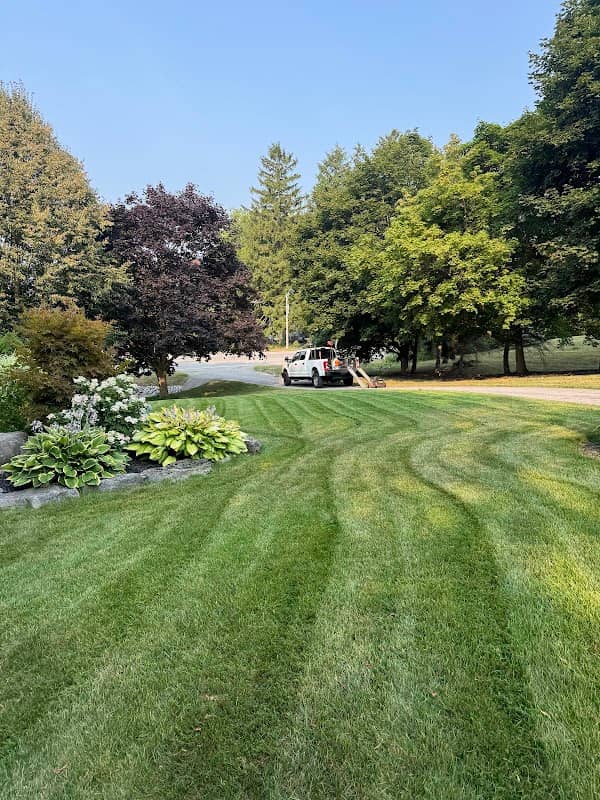 AP LAWN & PROPERTY MAINTENANCE inc., photograph 4 of Pickering