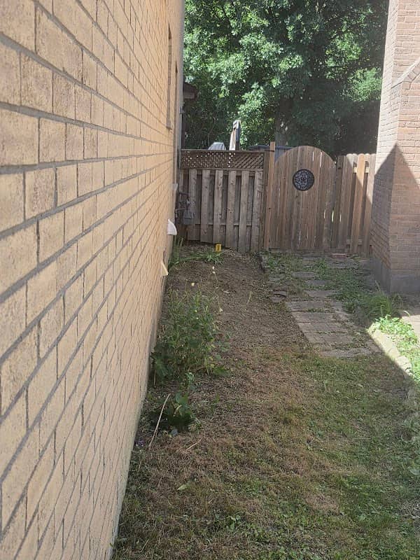 Arabella Landscaping And Snow Removal, photograph 2 of Islington-City Centre West