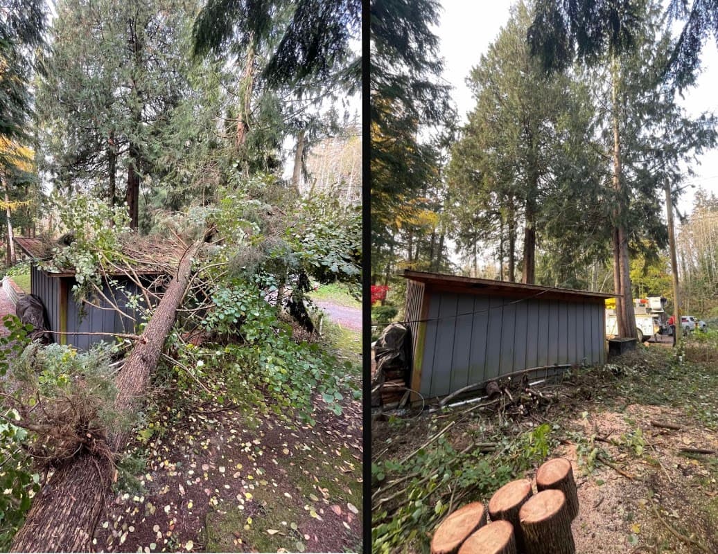 Arbor West Contracting, photograph 4 of Cloverdale