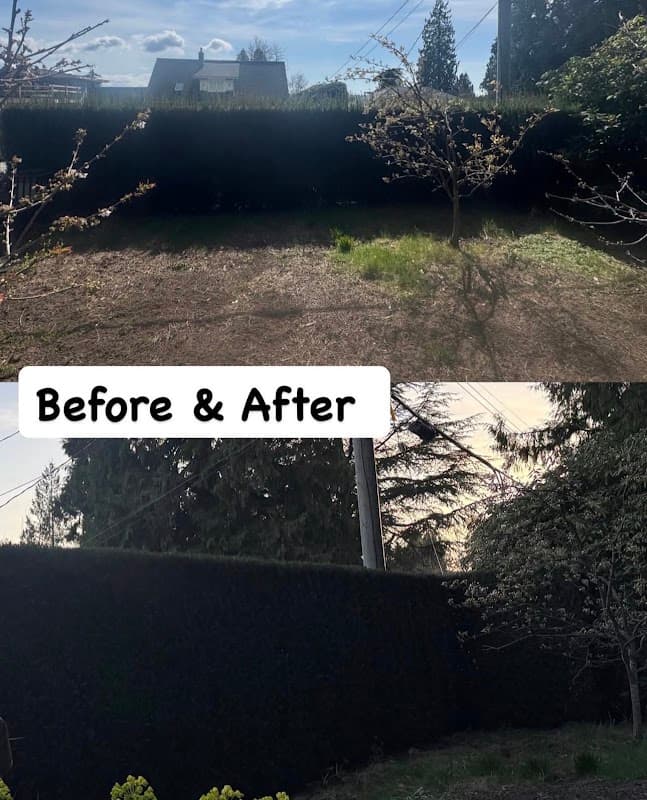 landscaping by Arborworks in Lonsdale