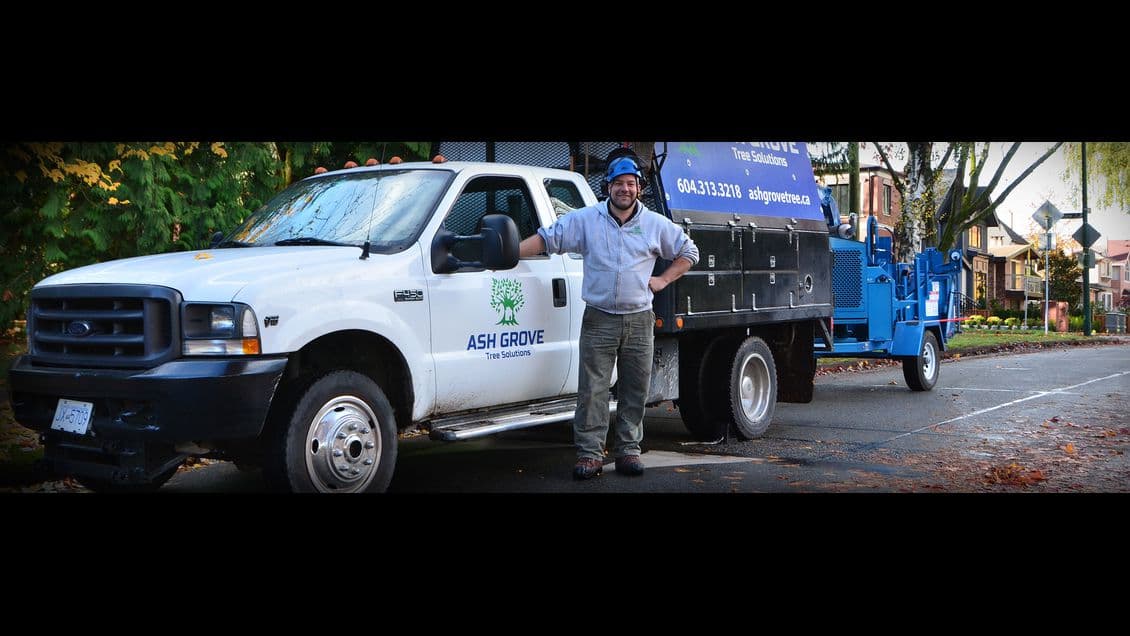 tree services by Ash Grove Tree Solutions Inc. in Marpole