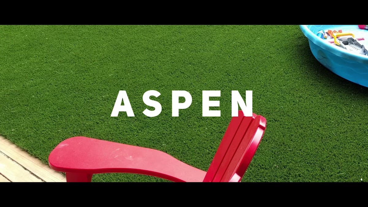 Aspen Turf, photograph 4 of Cloverdale