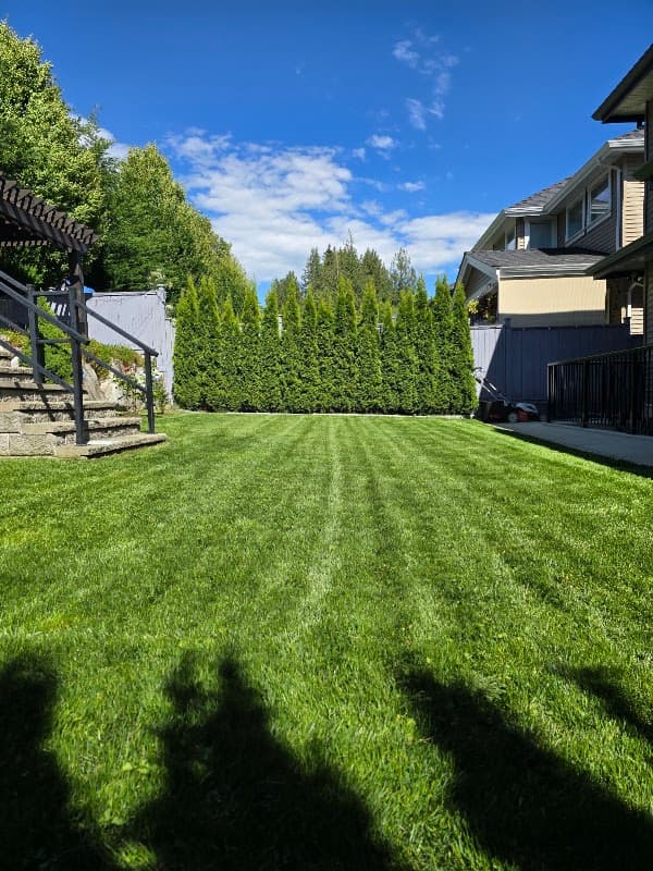 lawn care by AstraGreen Lawn Care in Port Coquitlam