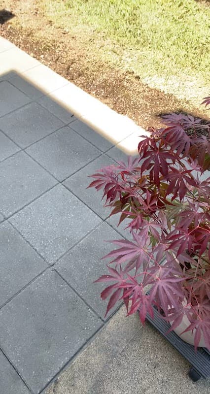 Atkinson Landscaping Inc., photograph 3 of Cloverdale