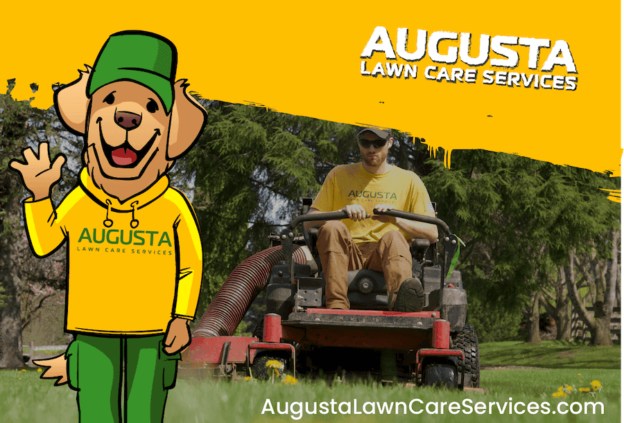 Augusta Lawn Care of White Rock, photograph 4 of South Surrey