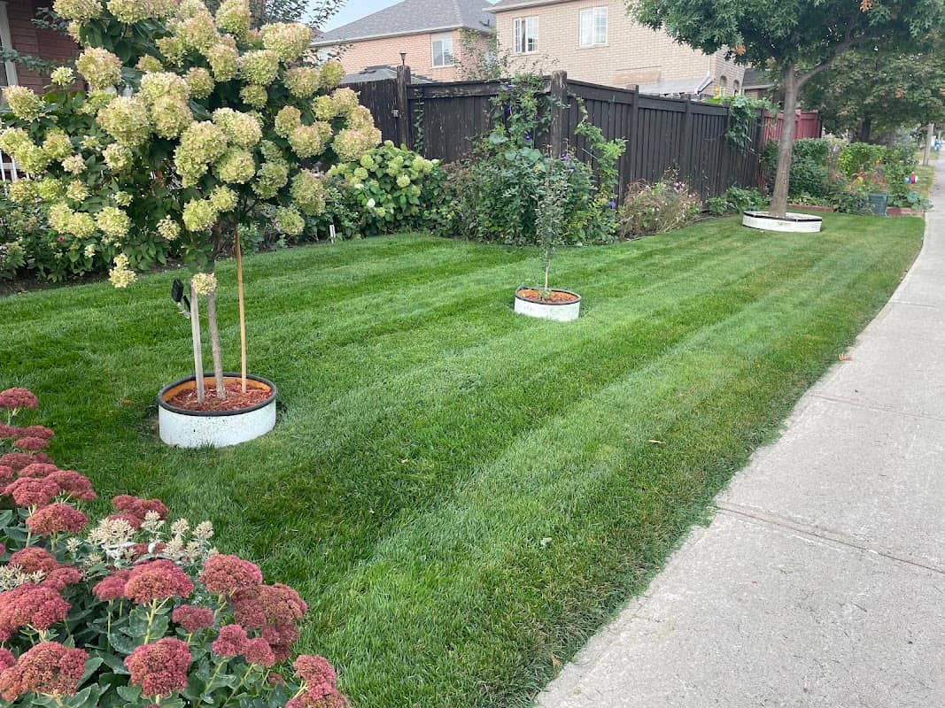lawn care by AVD Landscaping & Snow Removal in Islington-City Centre West