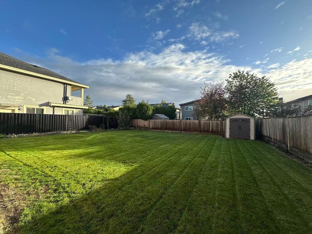 landscaping by Avee Gardens in Ladner