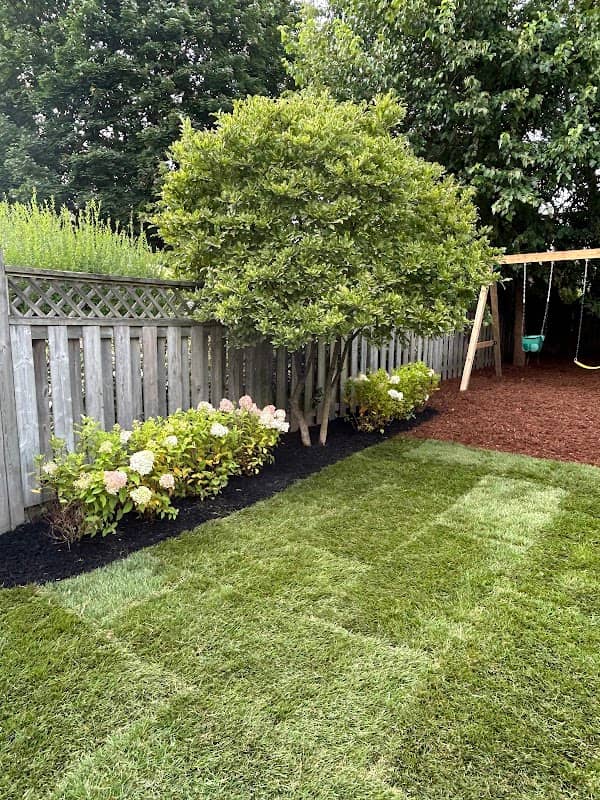 Aventus Landscaping, photograph 4 of Davisville