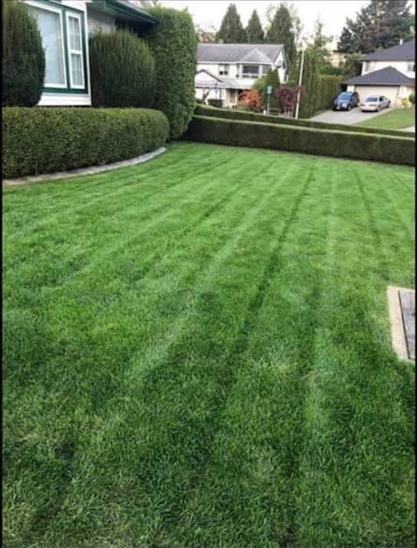 BA's Lawn Care, photograph 2 of Abbotsford