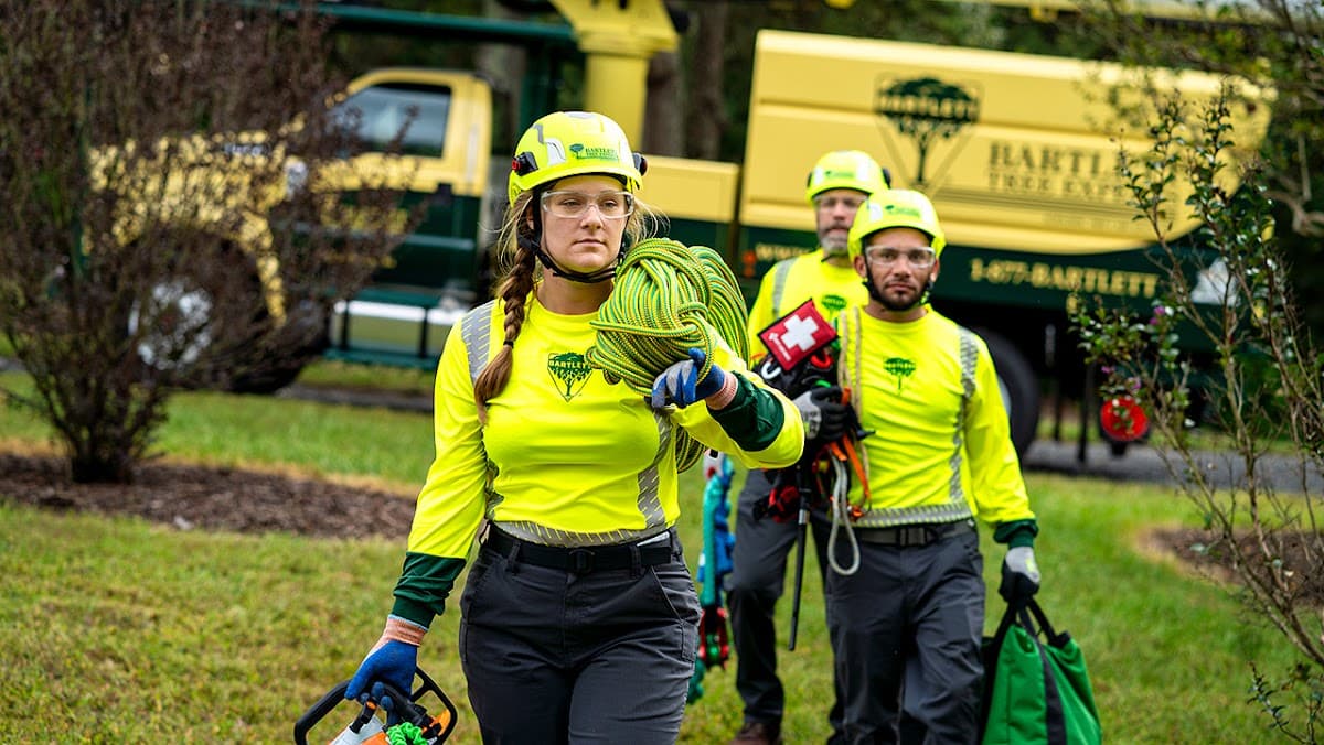 tree services by Bartlett Tree Experts in Ladner