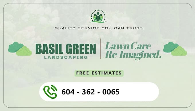 lawn care by Basil Green Landscaping in Marpole