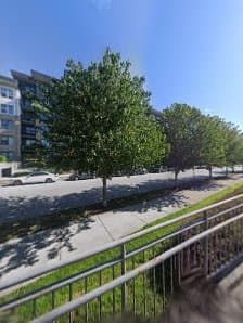 Basil Green Landscaping, photograph 3 of Marpole