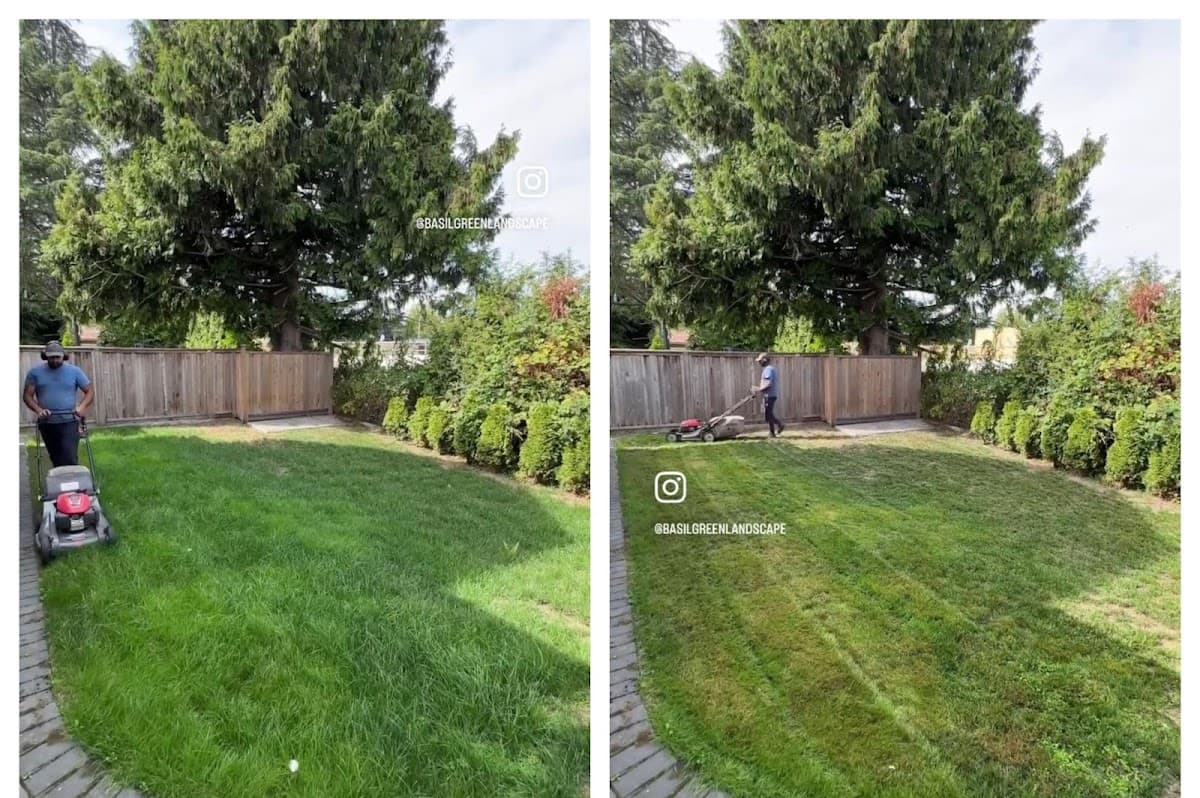 Basil Green Landscaping, photograph 3 of Metrotown