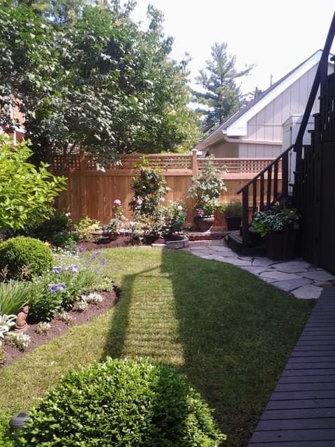 lawn care by Basil Green Lawn Care in Cloverdale