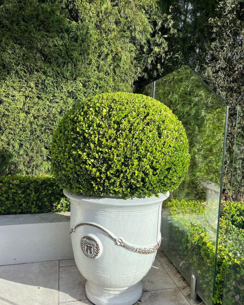 Basil Green Lawn Care, photograph 2 of Cloverdale