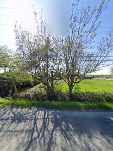 BC Instant Lawns and Landscapes, photograph 3 of Ladner