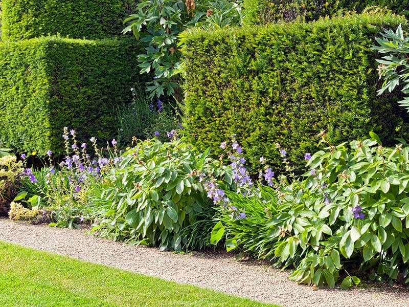 landscape design by Beaudry Landscapes in New Westminster