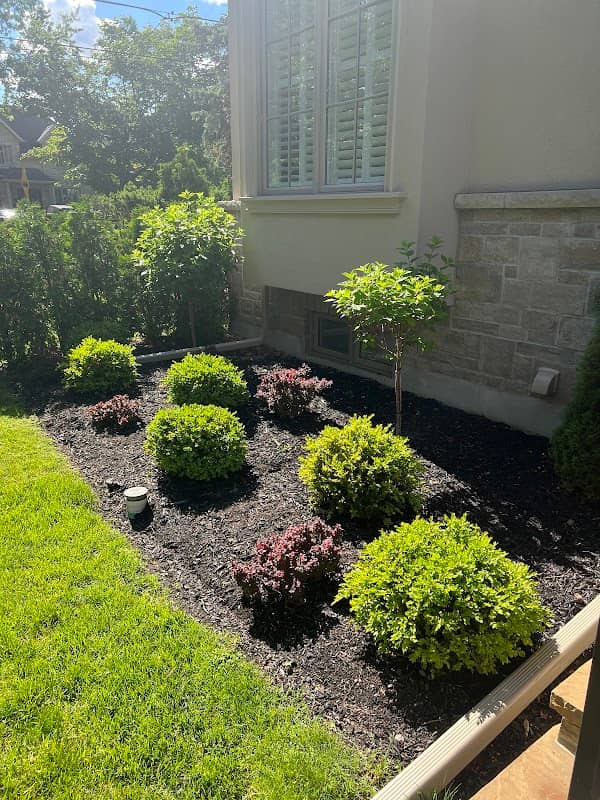 lawn care by Bella’s Lawn and Garden in Agincourt