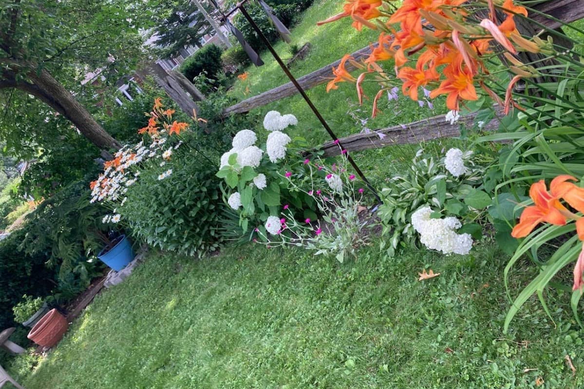 Big Oaks Lawn Care, photograph 3 of Mimico