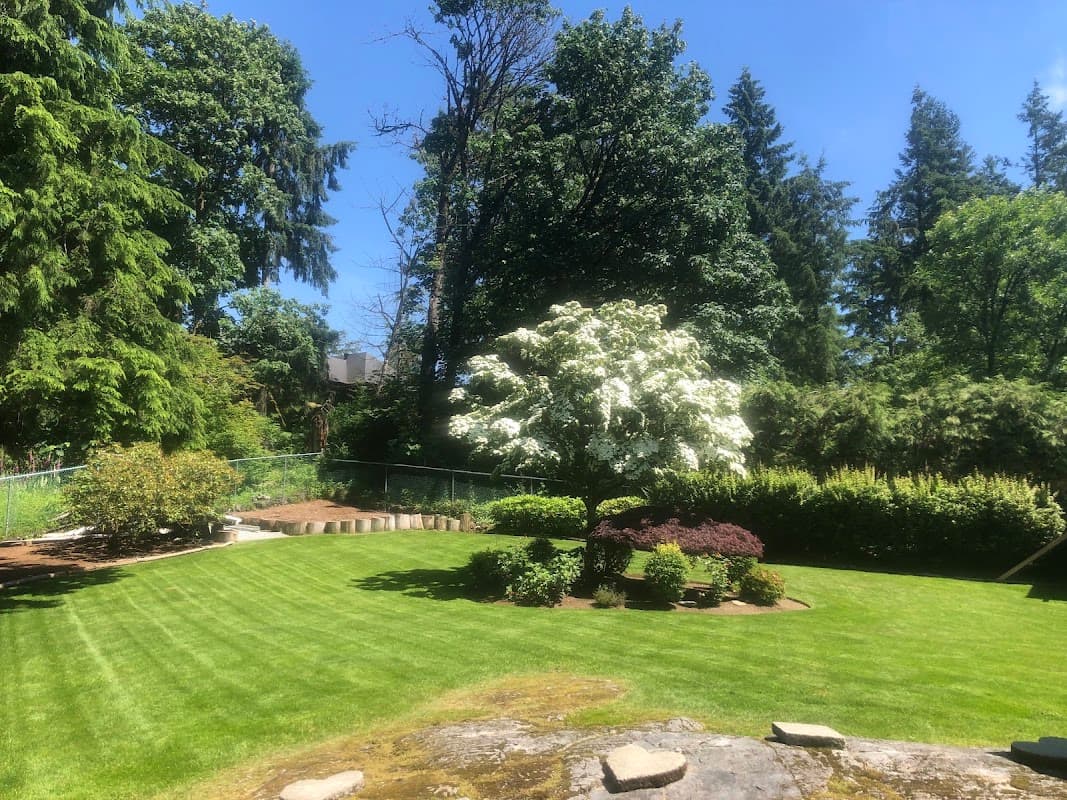 lawn care by Black Forest Landscaping in Pitt Meadows