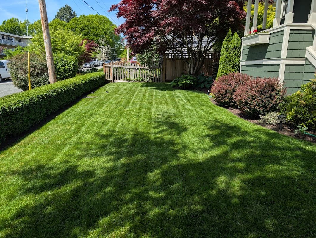 Black Forest Landscaping, photograph 3 of Pitt Meadows