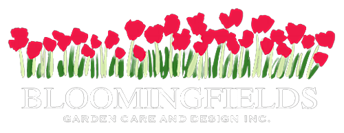 Bloomingfields Garden Care & Design Inc | North Vancouver landscaping & gardening, photograph 2 of Lonsdale