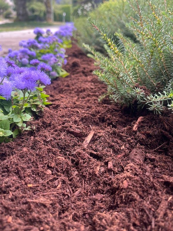 landscaping by Blossom Landscaping in Dunbar-Southlands